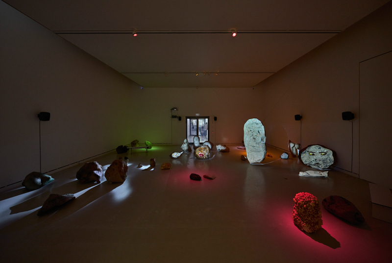 Installation view: Egill Saebjörnsson: The Egg or the Hen, Us or Them, 2011