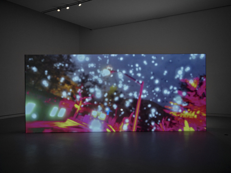 Installation view What Is It Like to Be a Bat? Kunsthalle Mainz: Zheng Mahler: What is it like to be a (virtual) bat? Phase III / IV – Bat Meditation, 2022–2023, ultra-widescreen 4K video (16:43 min), Photo: Norbert Miguletz