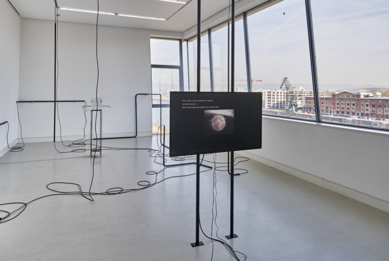 Installation view: Dominique Koch: Perpetual Operator, 2016